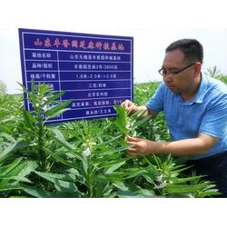 出口品质芝麻酱，就选丰香园芝麻食品——您值得信赖的咨询合作伙伴
